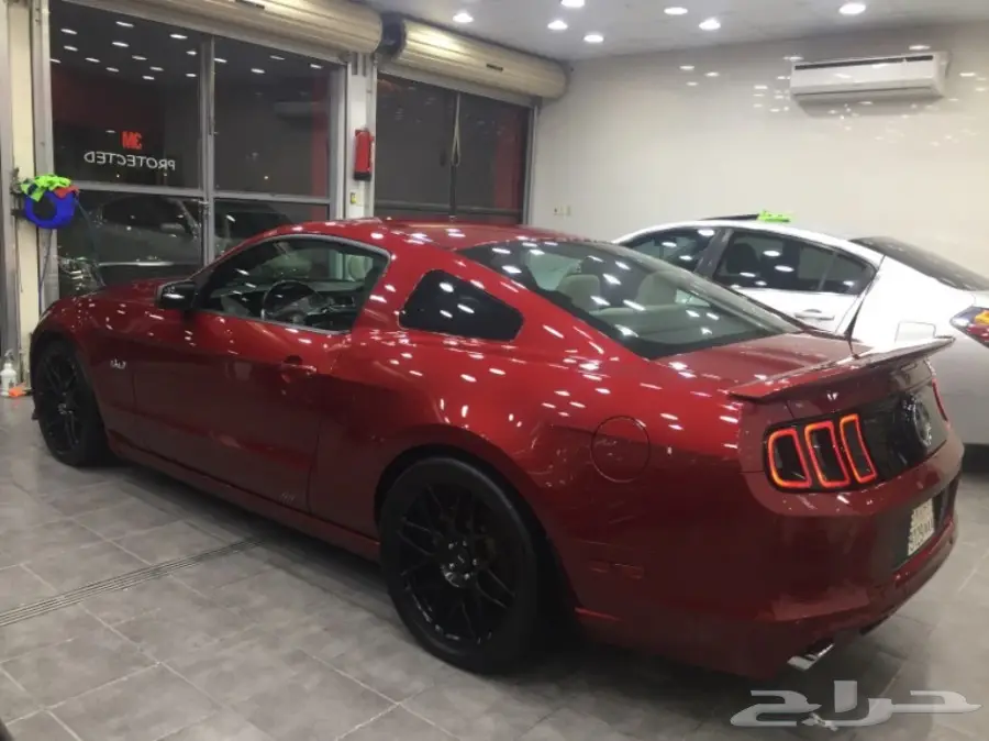 موستنق 2014 للبيع (image 2)