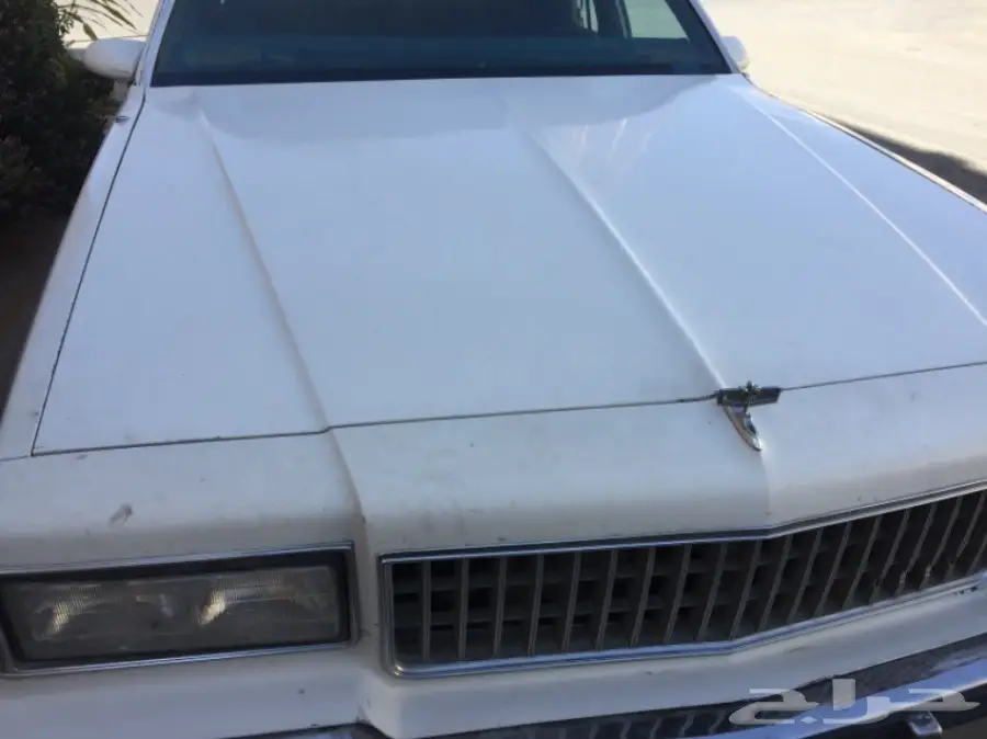 كابرس 1989 ابيض