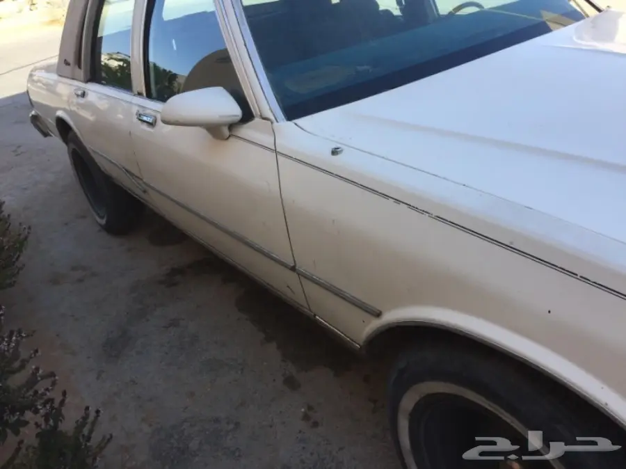 كابرس 1989 ابيض (image 2)