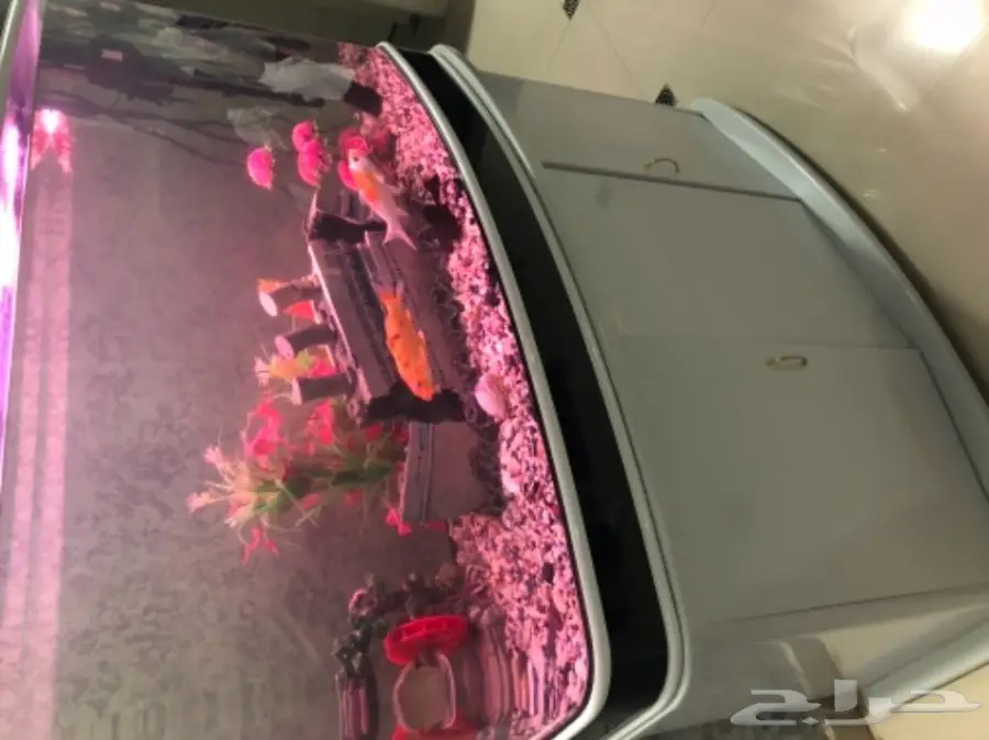 حوض أسماك أبيض فاخر مع ديكور مميز! (image 4)