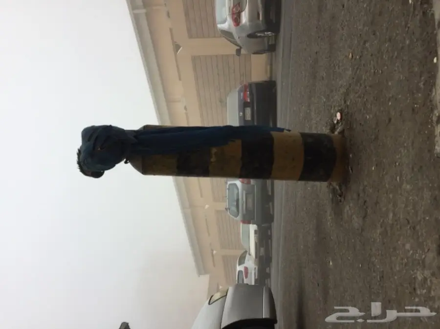 للبيع مكاو blue and gold  (image 4)