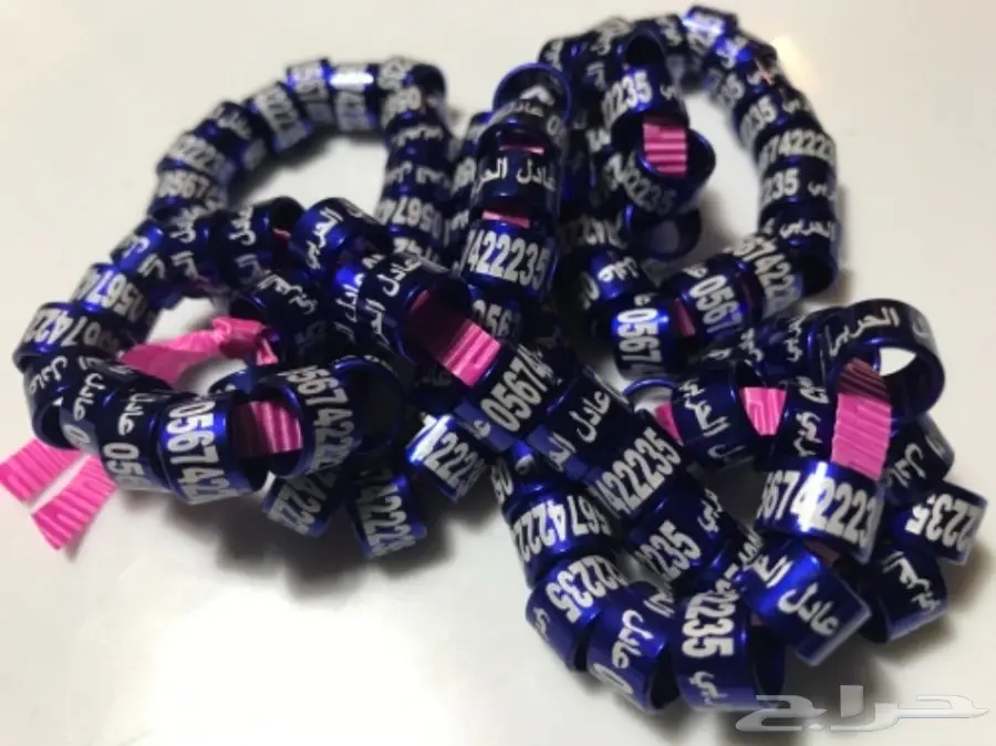 حجول طيور - جميع الأنواع (image 6)