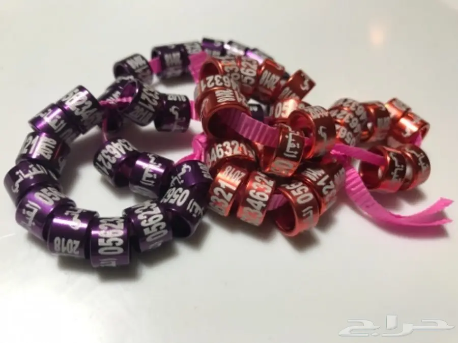 حجول طيور - جميع الأنواع (image 7)