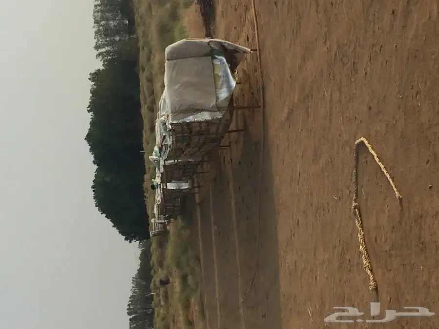 عسل عسل سدر مضمون على الشرط 10الاف اذا مغشوش  (image 16)