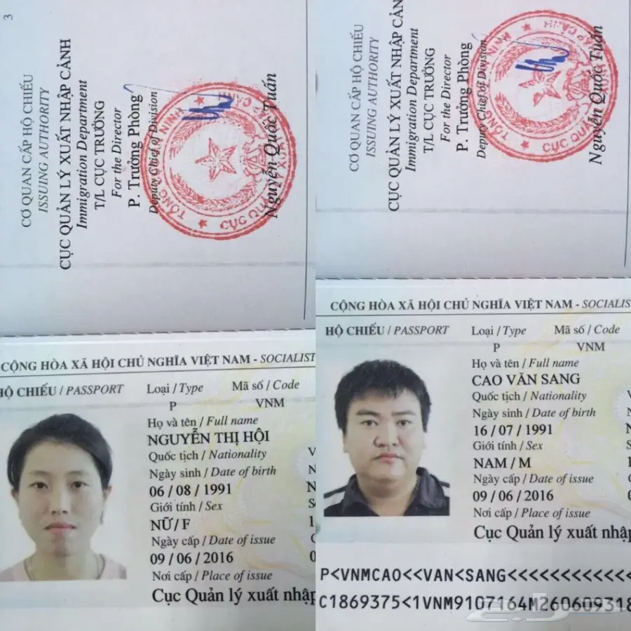 استقدام من فيتنام خلال 3 اسابيع (image 9)