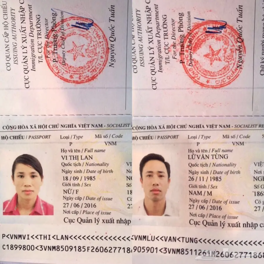 استقدام من فيتنام خلال 3 اسابيع (image 10)