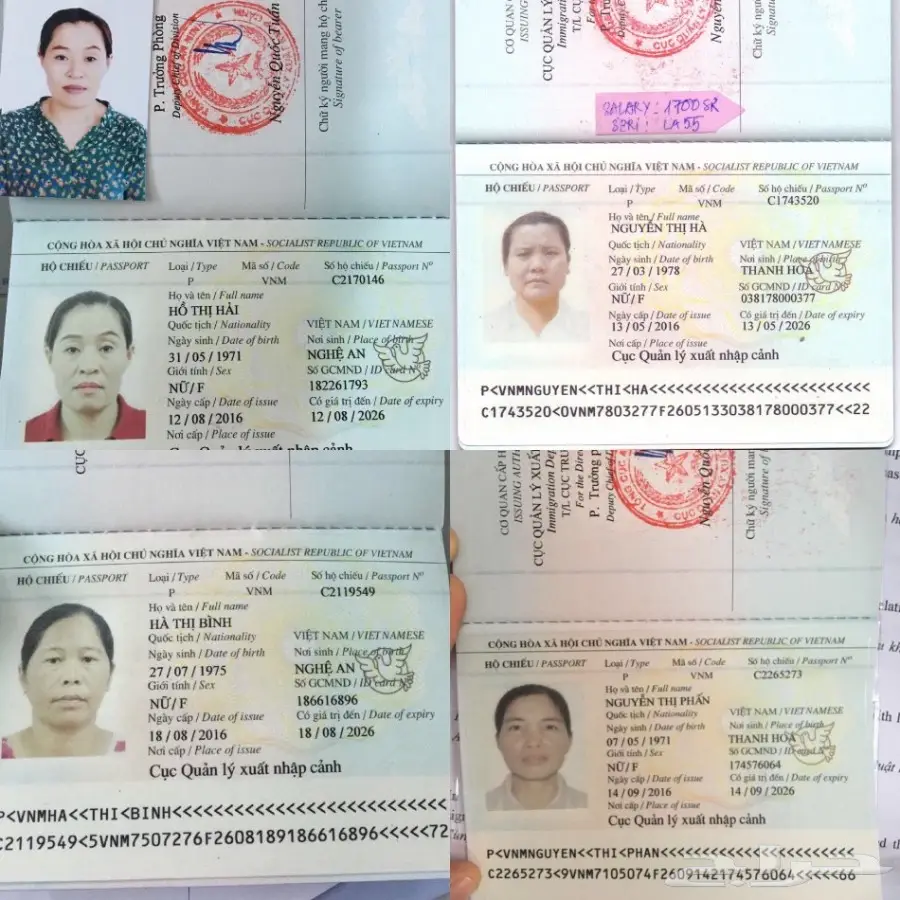 استقدام من فيتنام خلال 3 اسابيع (image 12)