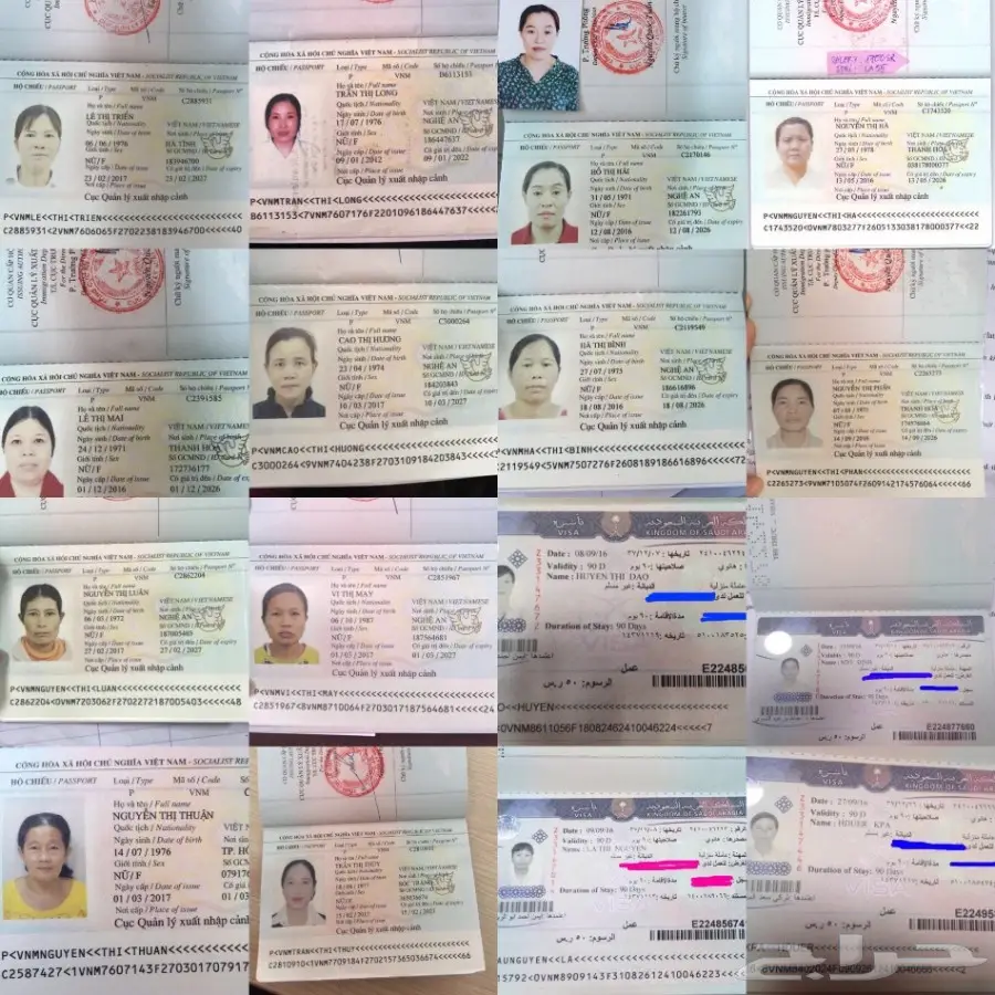 استقدام من فيتنام خلال 3 اسابيع (image 13)
