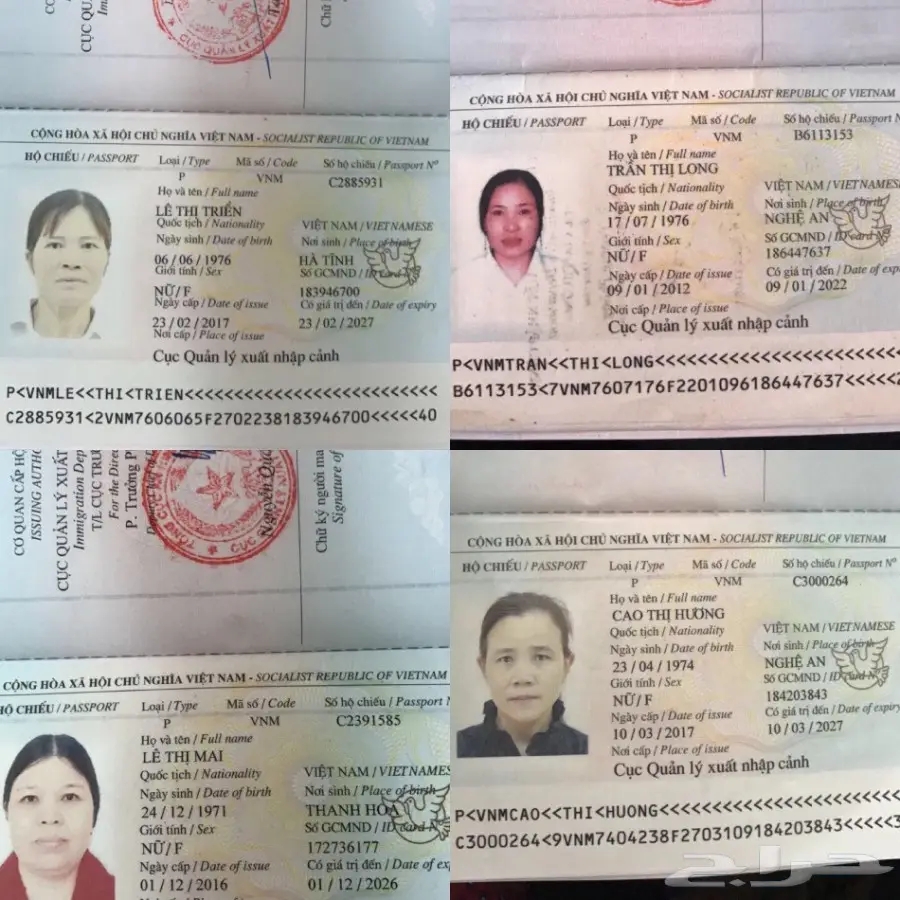 استقدام من فيتنام خلال 3 اسابيع (image 14)