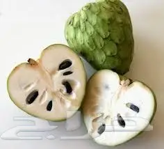 بذور فاكهة القشطة للزراعة