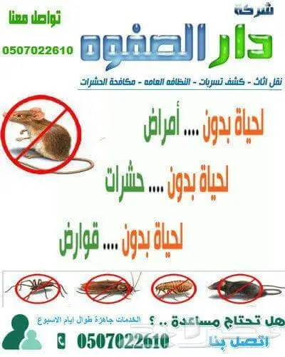 شركة مكافحة حشرات رش مبيدات مكافحه حشرات (image 3)