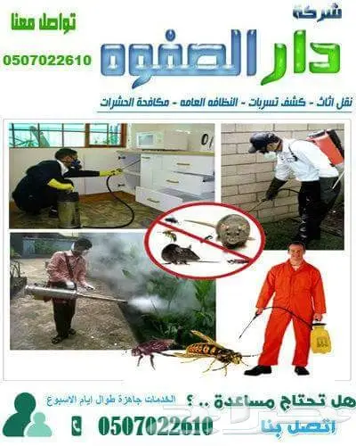 شركة مكافحة حشرات رش مبيدات مكافحه حشرات (image 4)