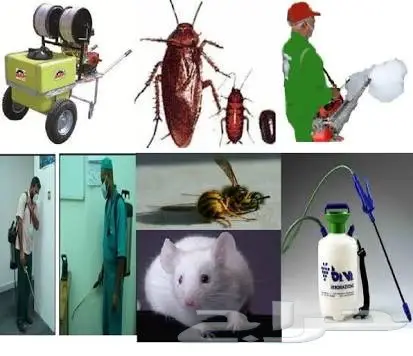 تنظيف احترافي لجميع أنواع الأسطح والمساحات (image 4)