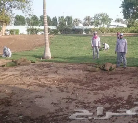 فني زراعة  (image 16)