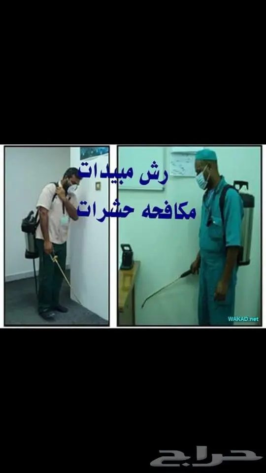 رش مبيدات مكافحة حشرات نمل صراصير فئران برص   (image 3)