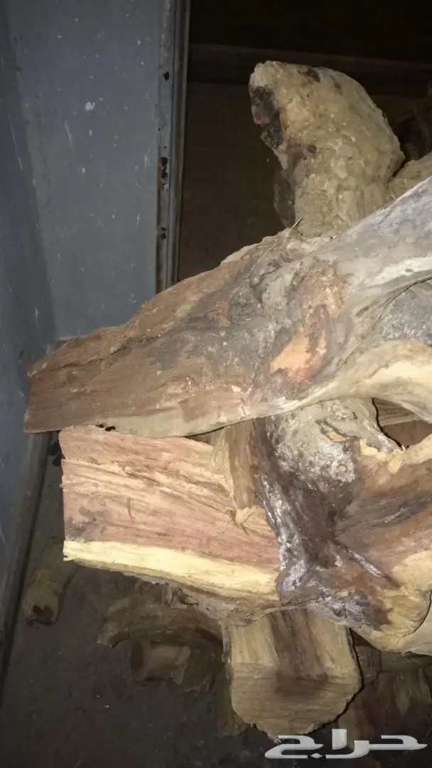 ح ط ب شلايخ ومبروم حزم واكوام  (image 4)