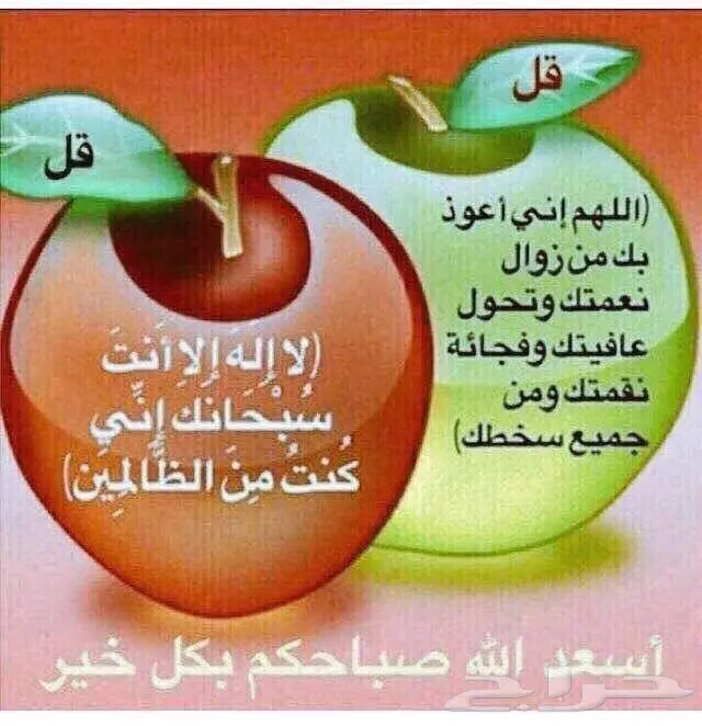الرجاء دخول الاعلان 