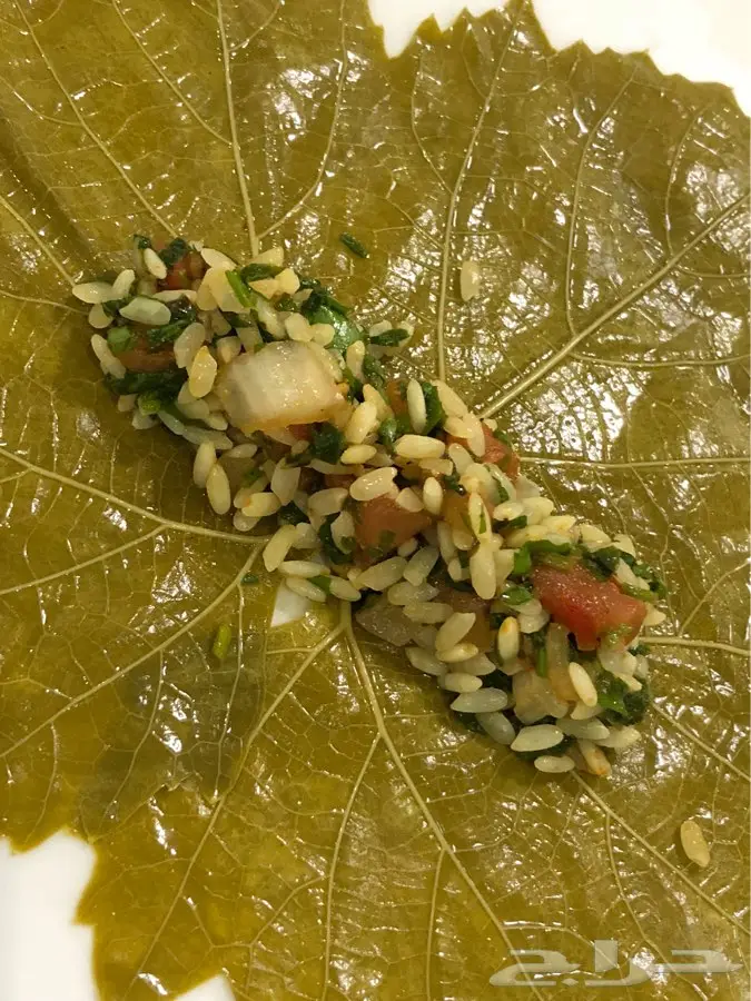 الدمام - ورق عنب مجهز بافضل (image 5)