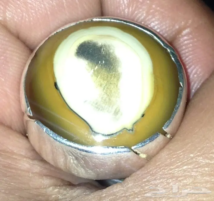 خاتم سليماني اندونيسي مصور (image 1)