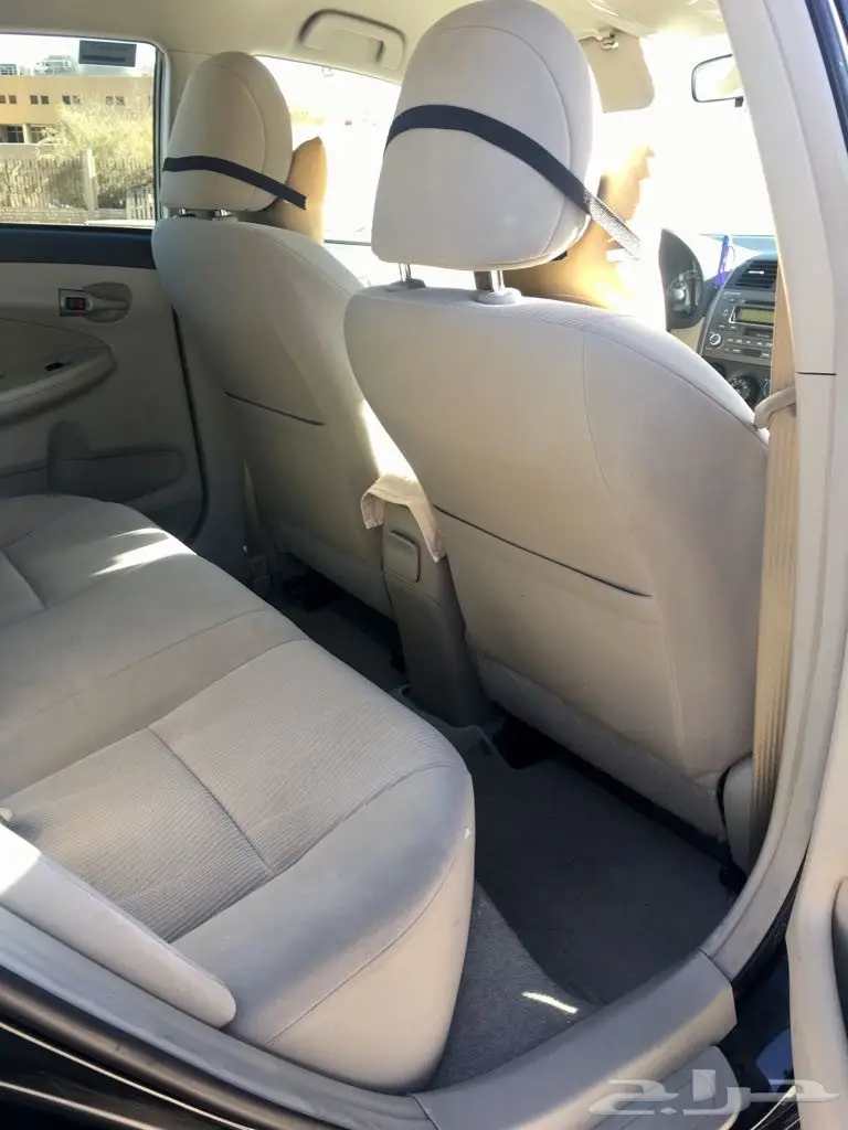 كوريلا 2011 (image 1)