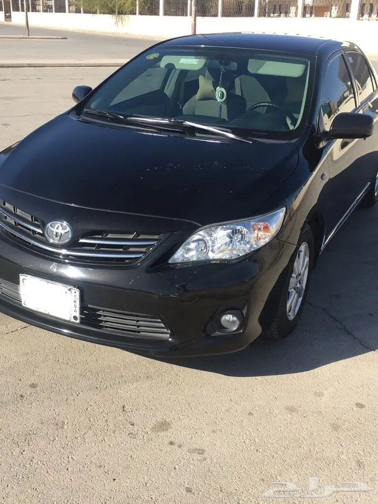 كوريلا 2011 (image 3)