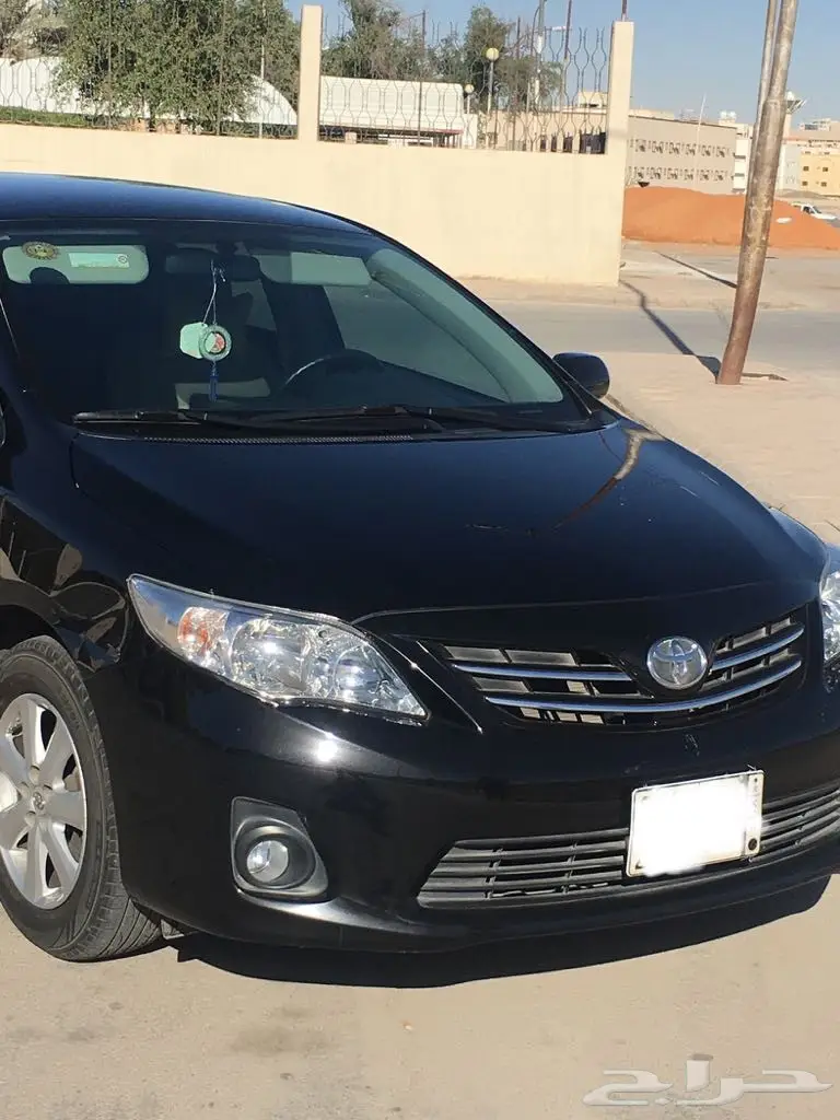 كوريلا 2011 (image 4)