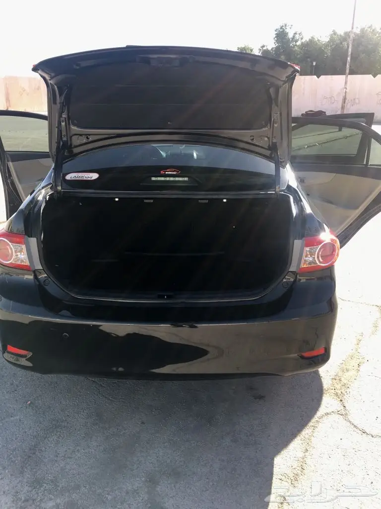 كوريلا 2011 (image 5)