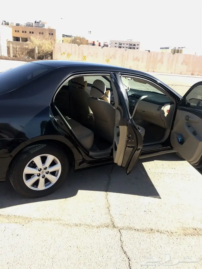 كوريلا 2011 (image 6)