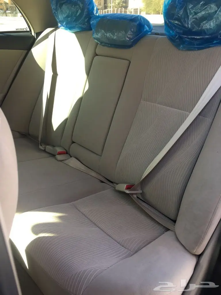 كوريلا 2011 (image 7)