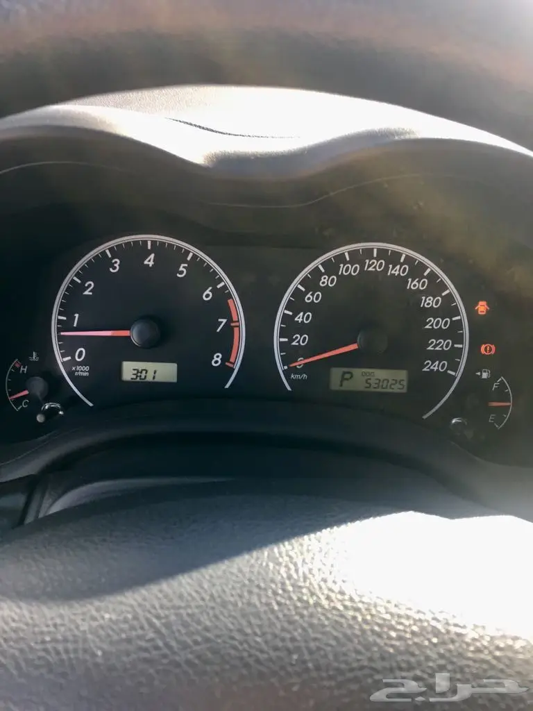 كوريلا 2011 (image 8)