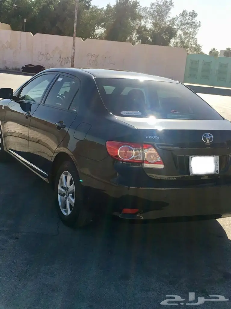 كوريلا 2011 (image 10)