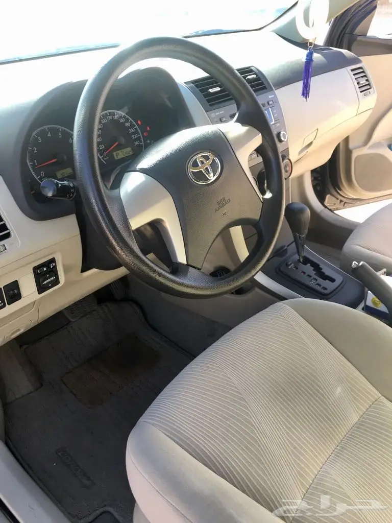 كوريلا 2011 (image 12)