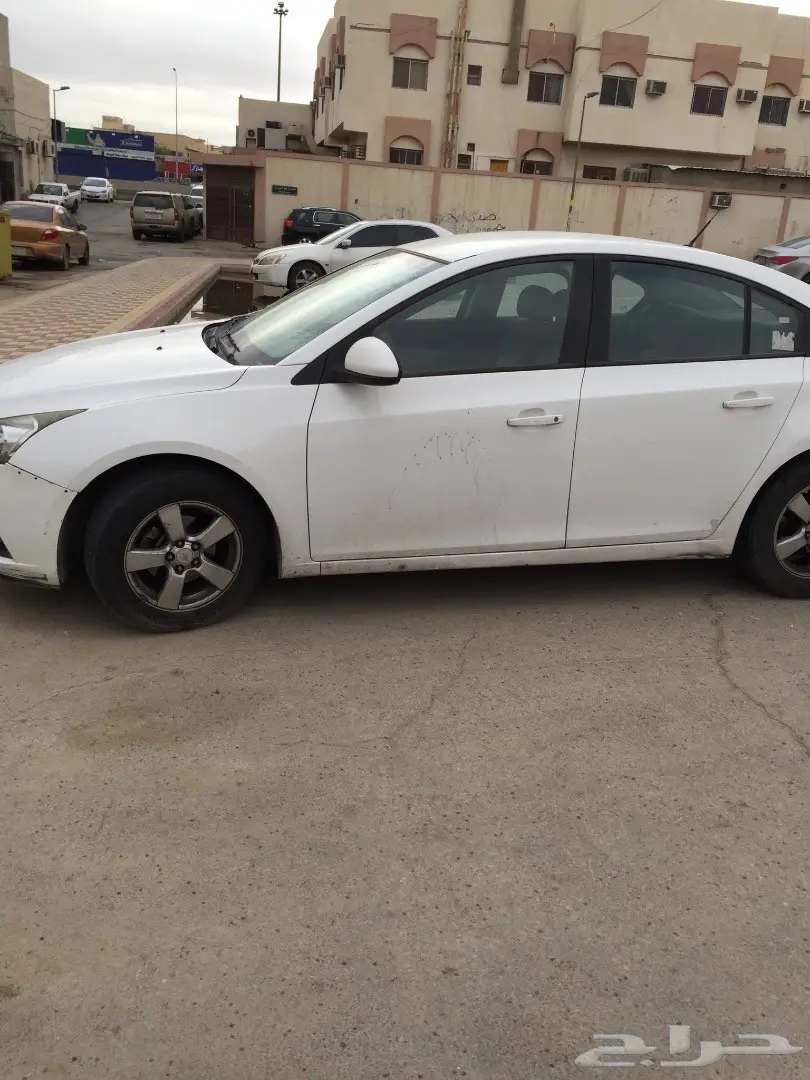 كروز2010 (image 3)