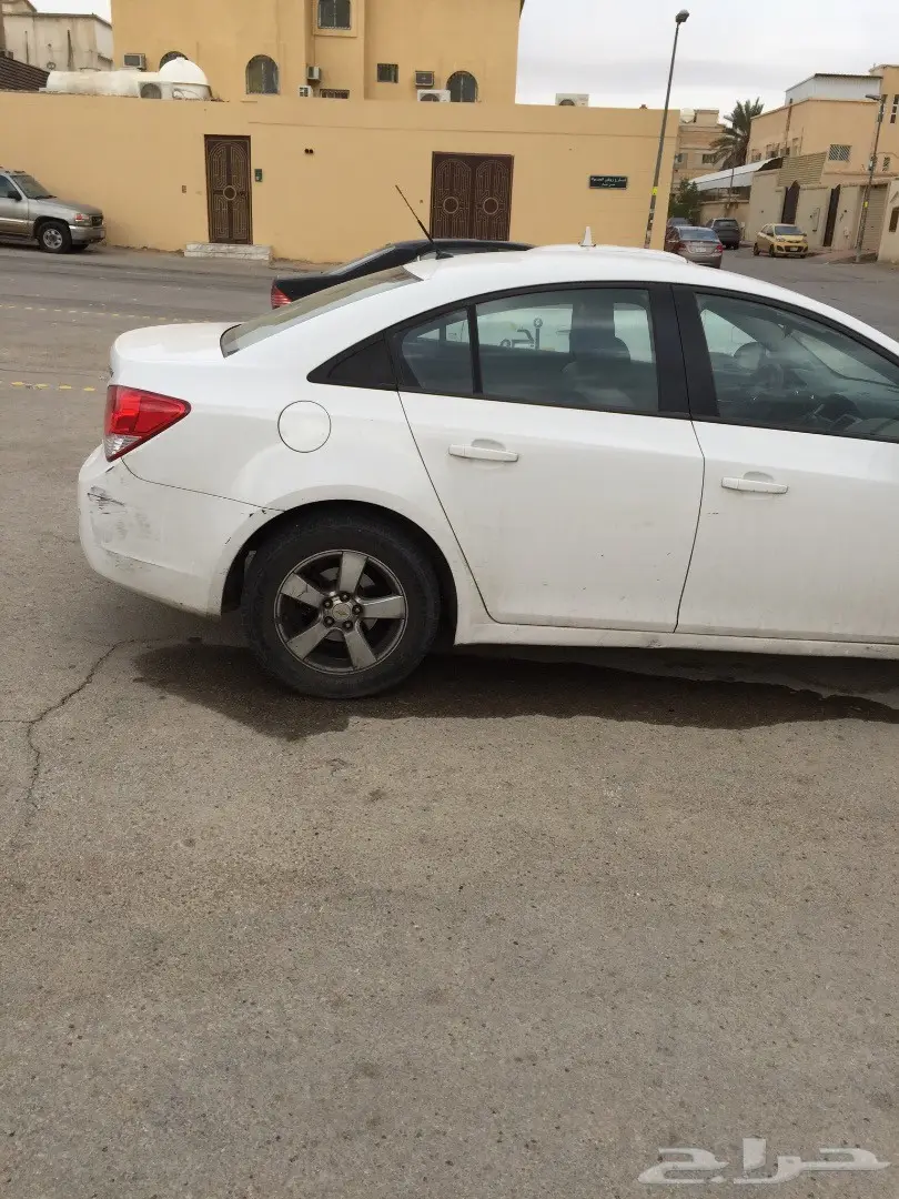 كروز2010 (image 6)