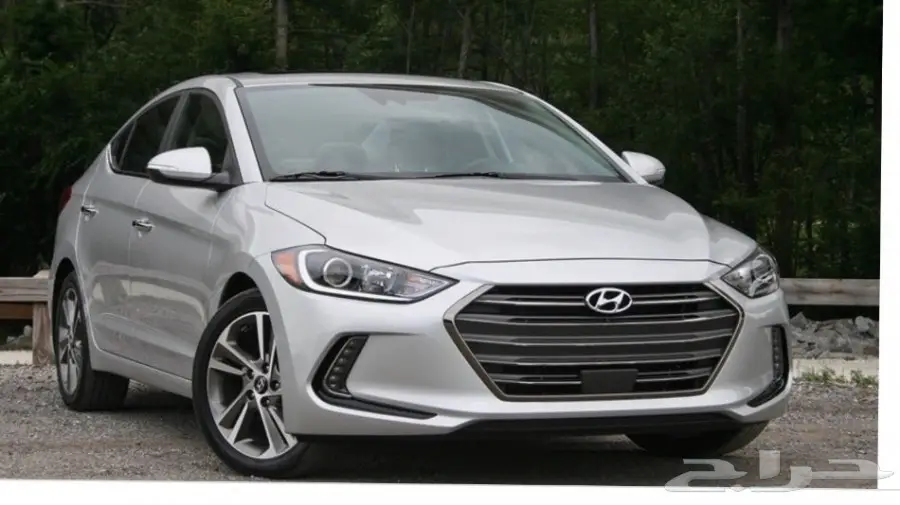 مشورتكم وفزعتكم لانستغني عنها 