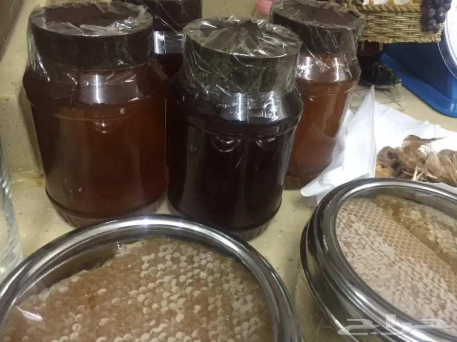 عسل سدره وزهور درجه اولى