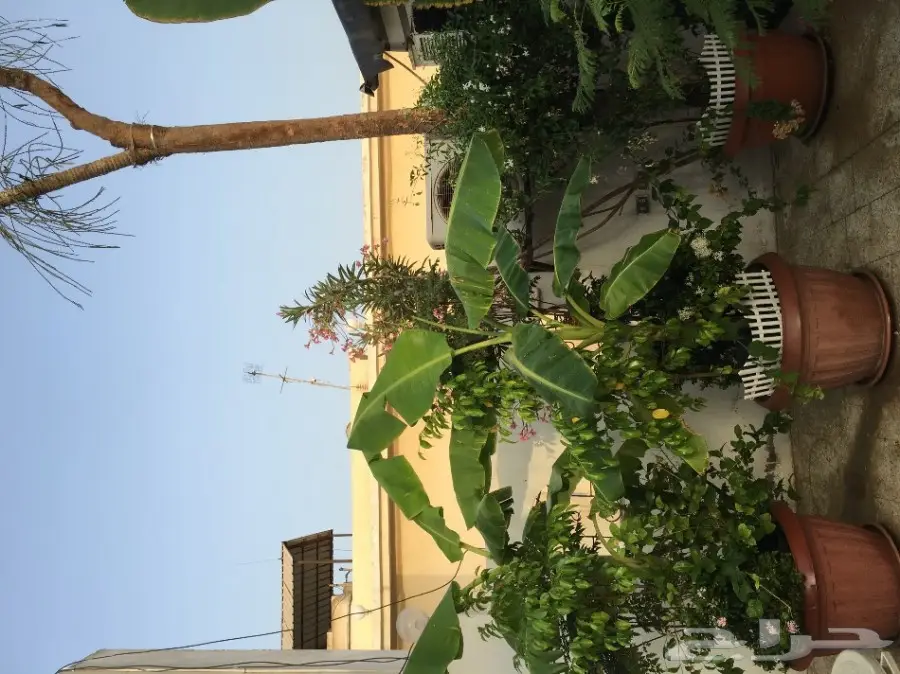 خيمه  vpc.   للبيع الحاله ممتازه  بداعي النقل (image 3)