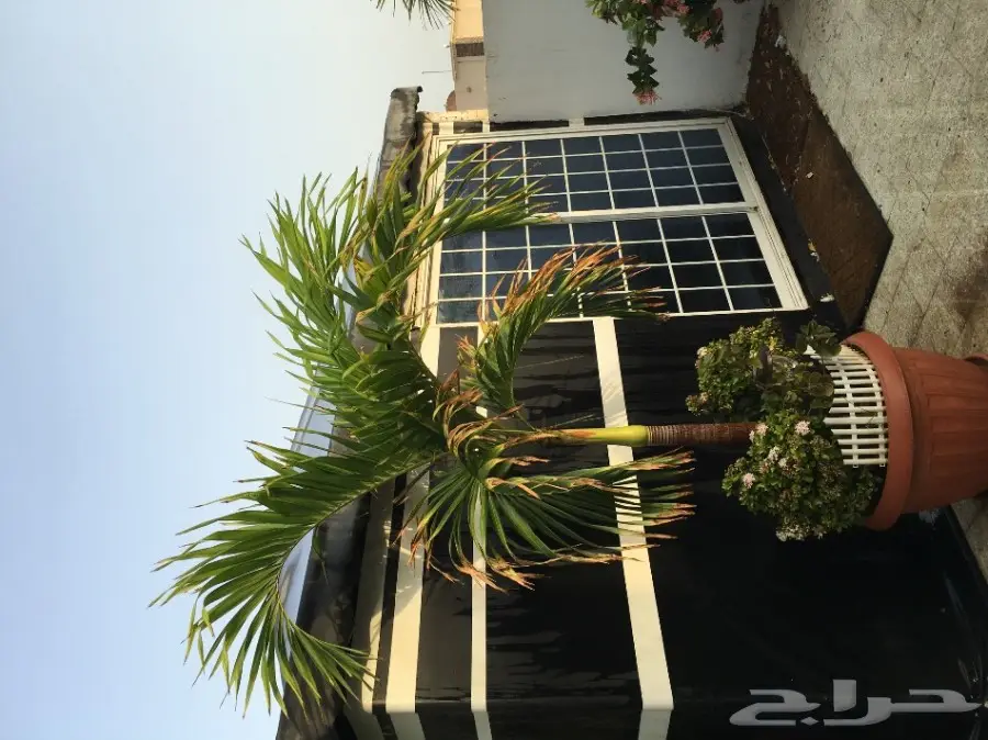 خيمه  vpc.   للبيع الحاله ممتازه  بداعي النقل (image 5)