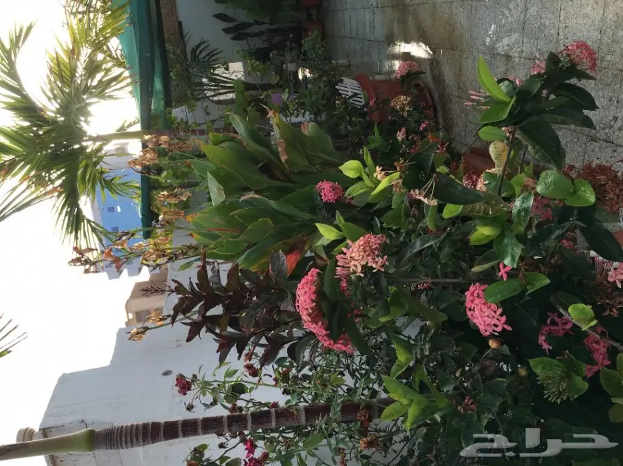 خيمه  vpc.   للبيع الحاله ممتازه  بداعي النقل (image 8)