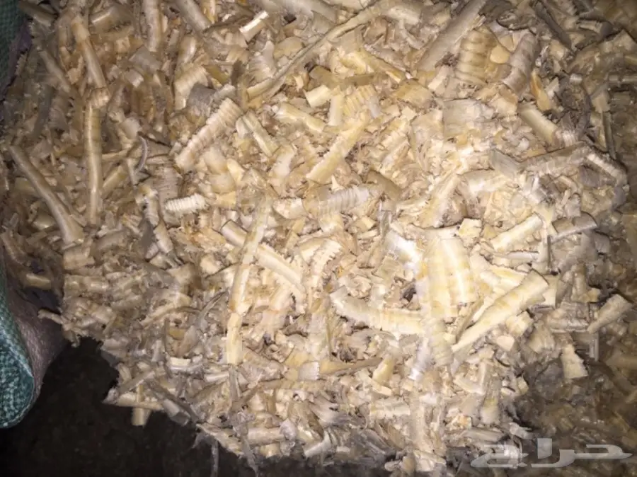 نشارة خيل او دواجن ناعم وخشن 