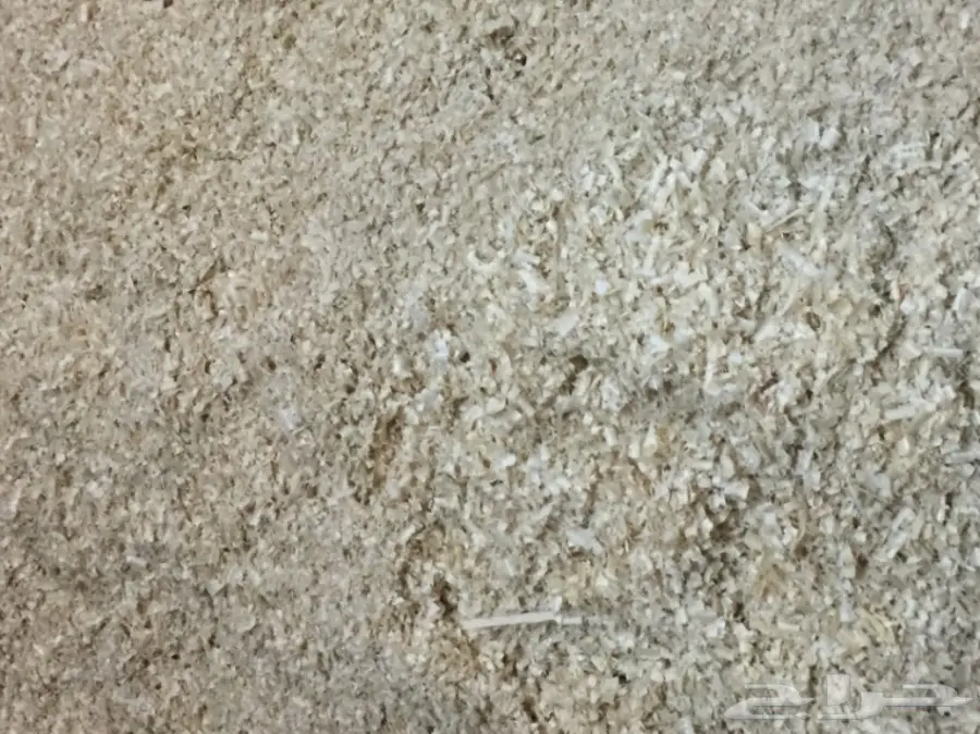 نشارة خيل او دواجن ناعم وخشن  (image 3)