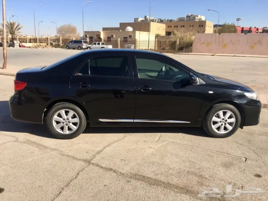 كوريلا 2011 (image 2)