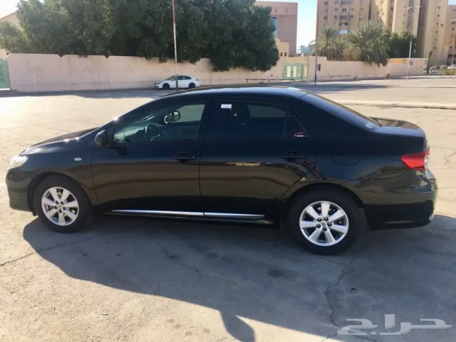 كوريلا 2011 (image 9)