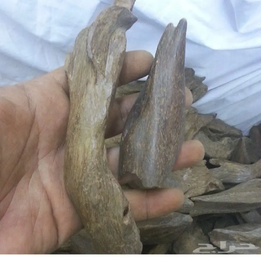 عود مروكي  اصقن دبل سوبر  (image 1)