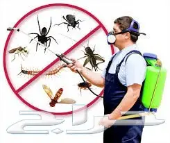 شركه رش مبيدات صراصير نمل فاران برص زواحف