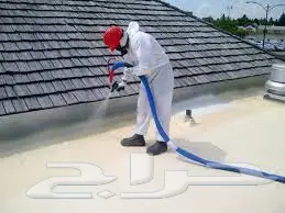 كشف تسربات المياه وعزل الأسطح - حلول احترافية (image 1)