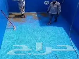 تنظيف شقق فلل مجالس موكيت كنب خزانات مسابح  (image 18)