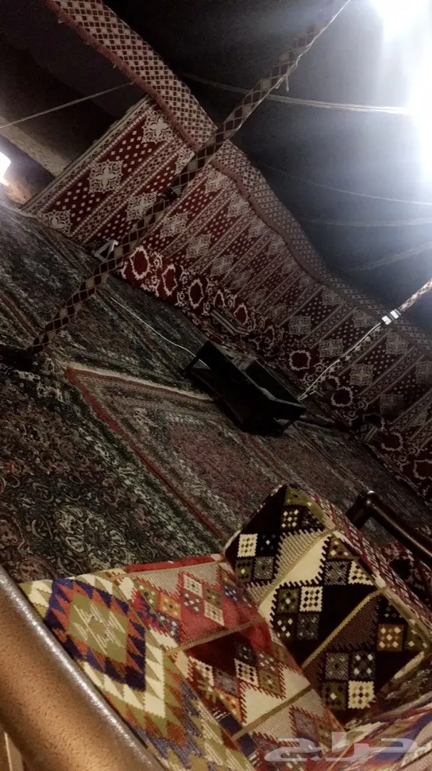 مخيم الثمامة vip مع بقيات ودبابات للإيجار (image 8)