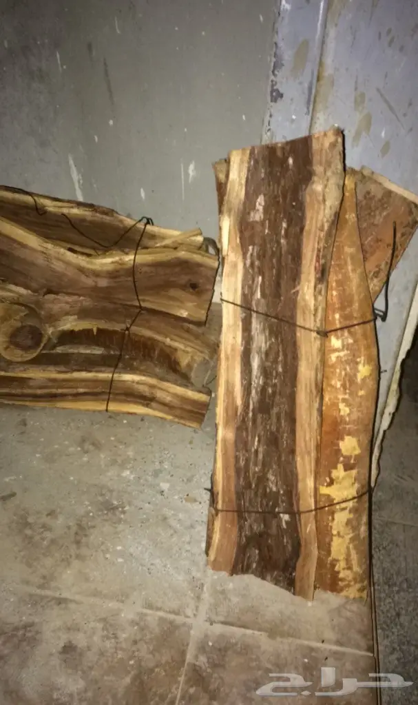 ح ط ب سمر المدينه حزم  شلايخ ومبروم 