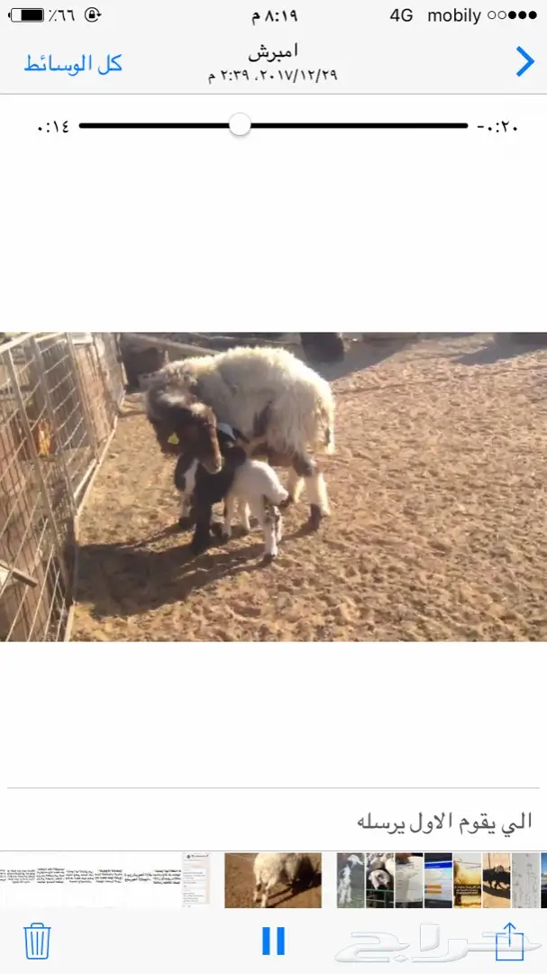 شاه متاومه  (image 1)